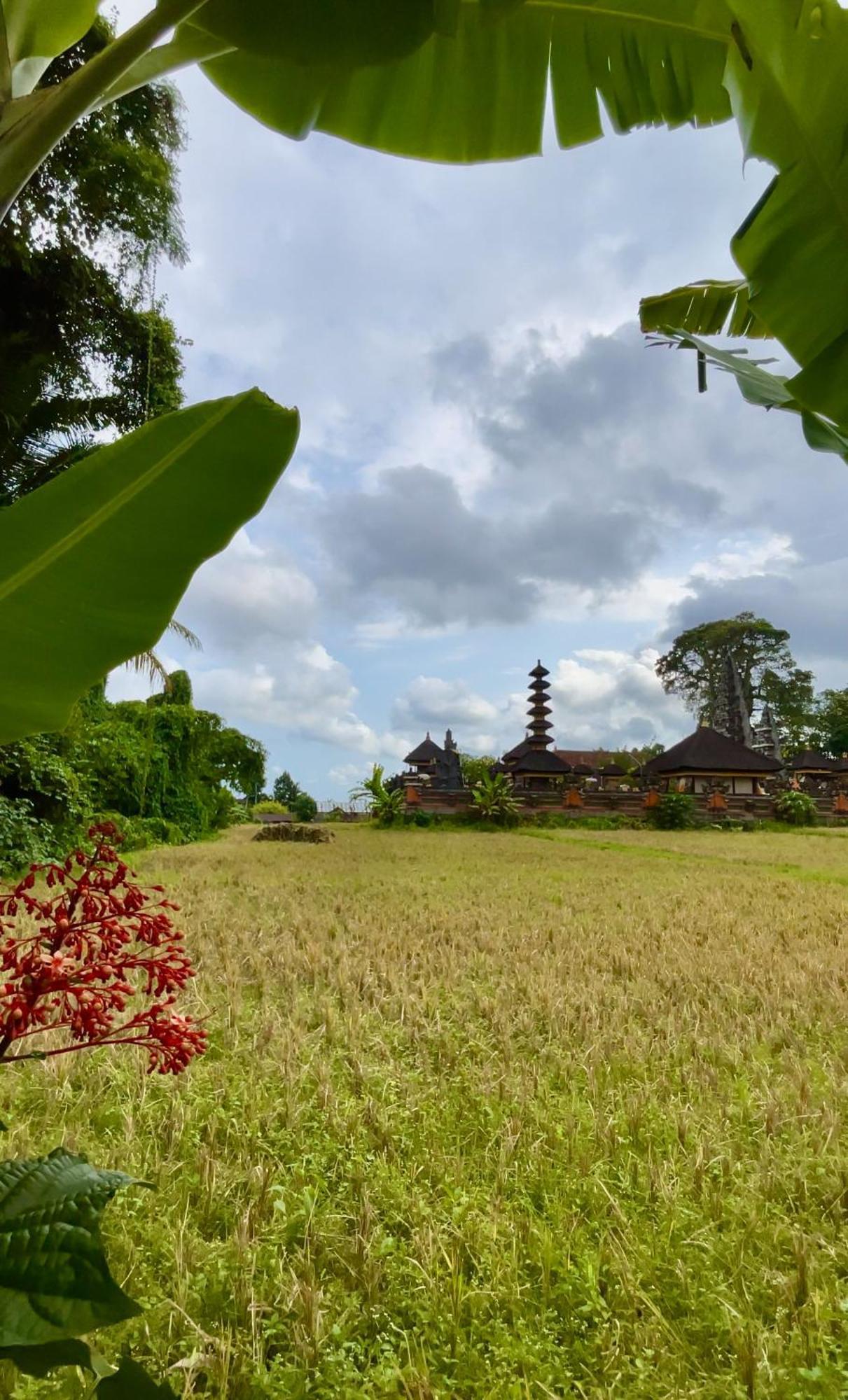 Villa Niki - Unique Rice Temple View Bykavian